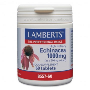 Equinacea 1000Mg 60caps Lamberts