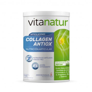 Collagen Antiox 360g Vitanatur