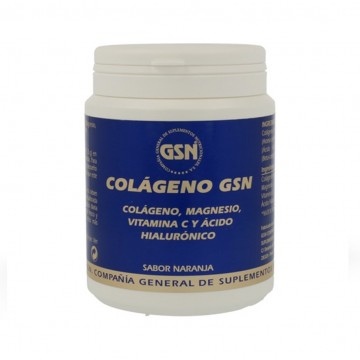 Colageno Acido Hialuronico Sabor Naranja 340g G.S.N.