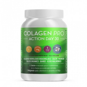 Colagen Pro Action Day 300g Corpore Protect