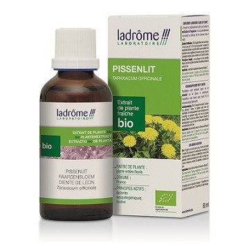 Extracto Diente Leon Bio 50ml Drome Provençale