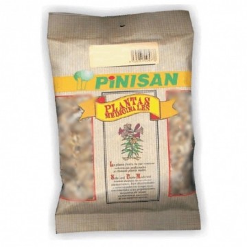 Apio Semillas 50g Pinisan