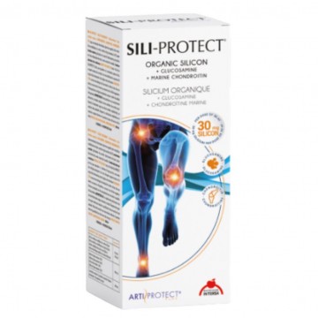 Sili-Protect Silicio 500ml Intersa