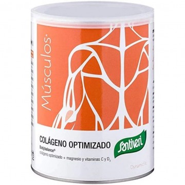 Dynamicart Colageno Optimizado 275g Santiveri