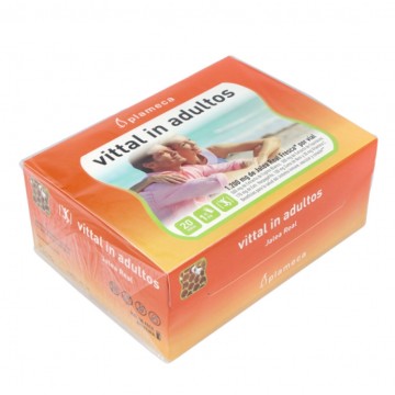 Vittal in Jalea Adultos 1200Mg 20 Vialesx10ml Plameca