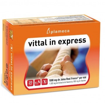 Vittal In Express Jalea 1000Mg 20 Vialesx10ml Plameca